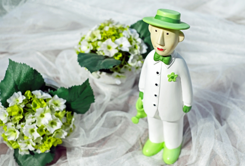 vitrine-SPERACEDES-min_man-person-flower-green-toy-fig-546529-pxhere.com